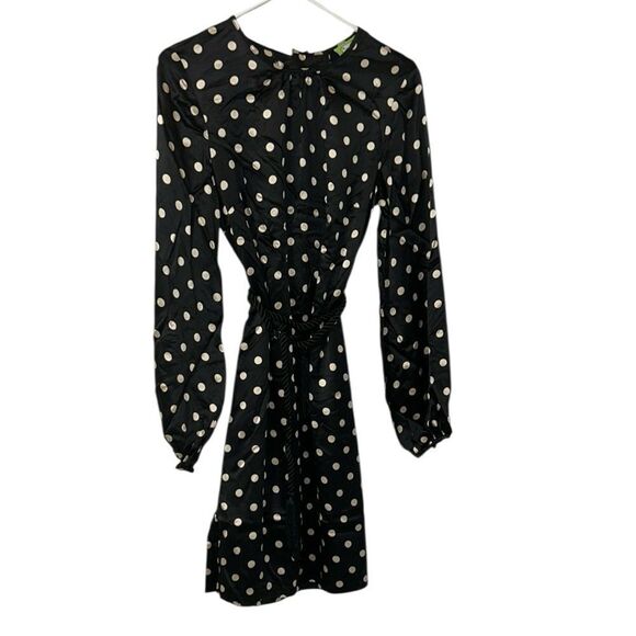 Elizabeth McKay Polka Dot Tie Waist Mini Silk Dress(Size 4) - Picture 3 of 14